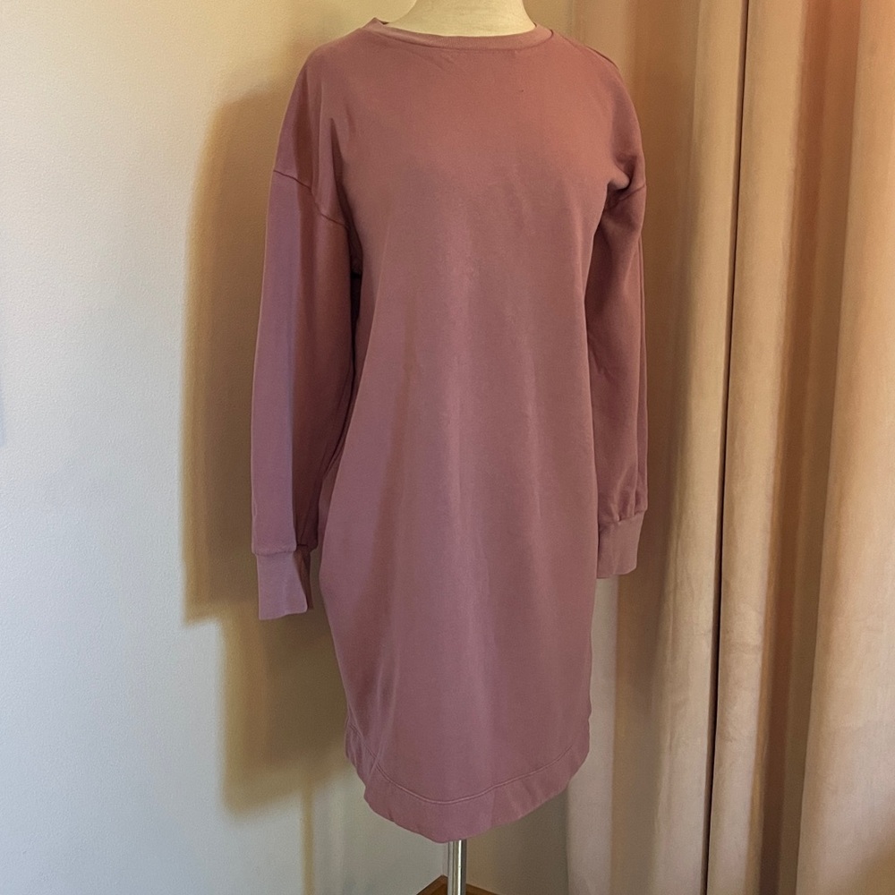 GAP Mauve Sweatshirt Dress